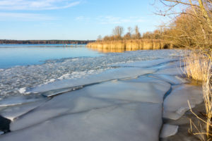 Berlin, Wannsee, Eisschollen am Ufer, Schilf Berlin, Wannsee, Eisschollen am Ufer, Schilf